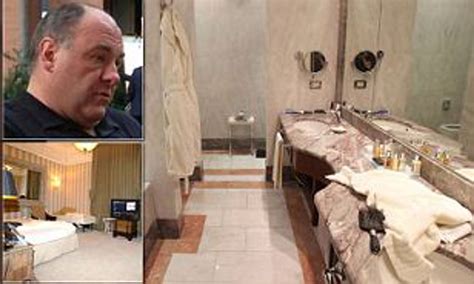 james gandolfini death.
